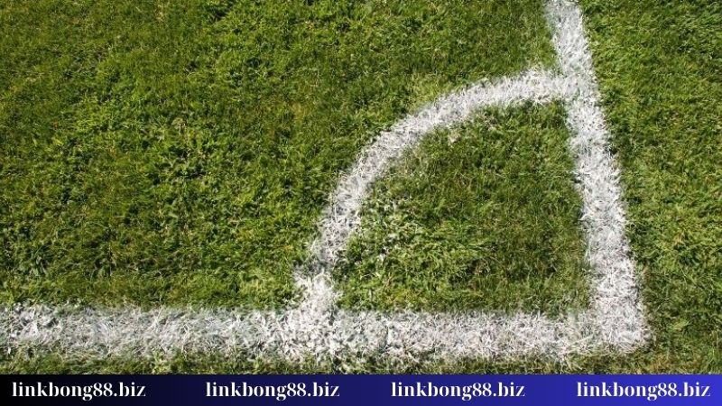 Kèo tài xỉu phạt góc là gì? Tuyệt chiêu bắt kèo hay đỉnh cao 2 Cách đọc kèo không trượt phát nào
