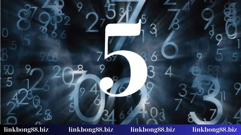 Nằm mơ thấy số đánh con gì? Giải mã chiêm bao chơi chiều nay 2 Chiêm bao thấy số 5-9 thì đánh con gì mới phải?