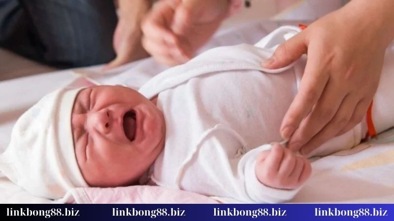 Nằm mơ thấy trẻ con đánh số gì - Bí kíp chọn số đỉnh cao 1 Mơ thấy trẻ nít khóc cho biết điều gì?