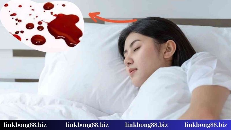 Nằm mơ thấy máu - Gợi ý con lô xuống xác trong ngày 3 Nằm mơ thấy máu nên quất con gì?