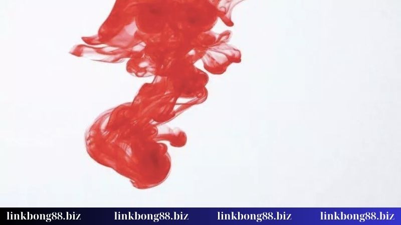 Nằm mơ thấy máu - Gợi ý con lô xuống xác trong ngày 2 Nằm mơ thấy máu người khác thể hiện điều gì?