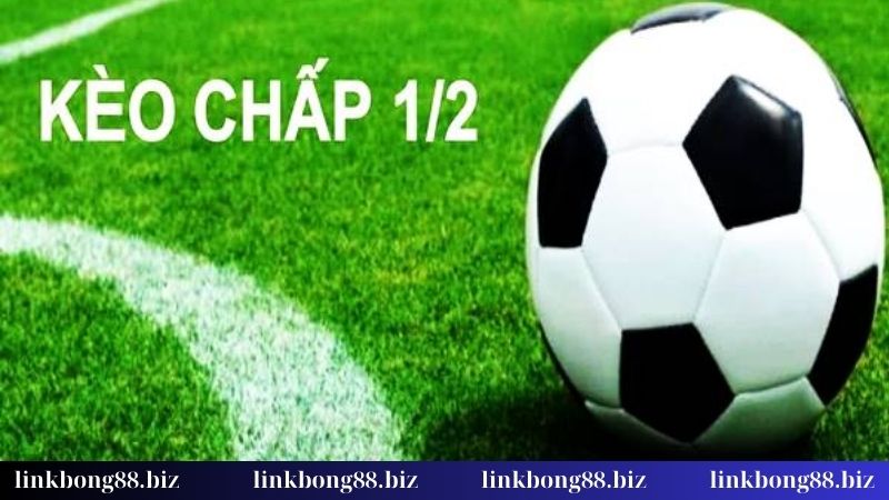 Kèo chấp 1/2 - Cách đọc kèo và chiến lược áp dụng xanh chín 1 Giải mã kèo chấp 1/2 là gì?