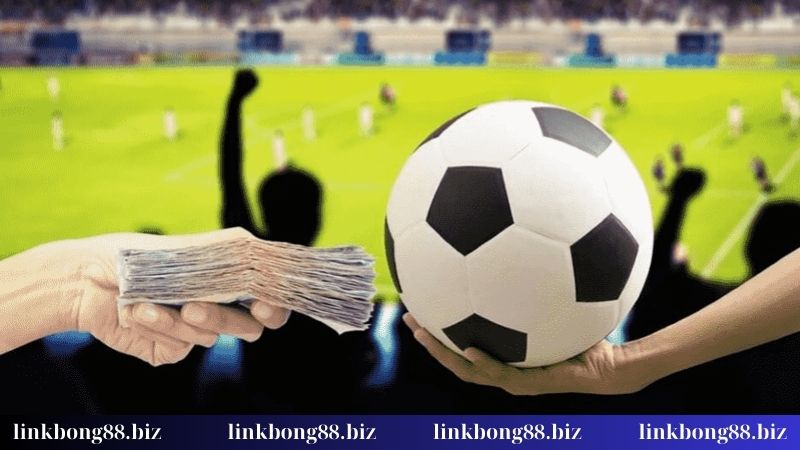 Một số loại kèo cá cược thể thao Bong88 phổ biến