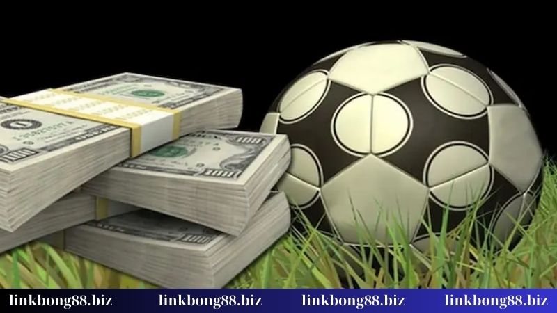 Đọc vị kèo chấp 3/4 từ A đến Z cho người chơi thông minh! 2 Sự khác biệt giữa kèo chấp 3/4 và kèo chấp 1/4