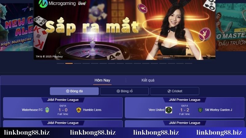 Đăng nhập Bong88 - Bật mí quy trình truy cập web chuẩn chỉnh 2 Vào trang chủ chính của web khi đăng nhập