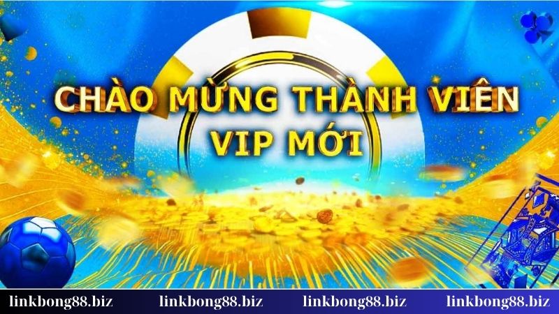Thưởng thành viên VIP - Đặc quyền riêng, trải nghiệm đẳng cấp 1 Hiểu về thưởng thành viên VIP