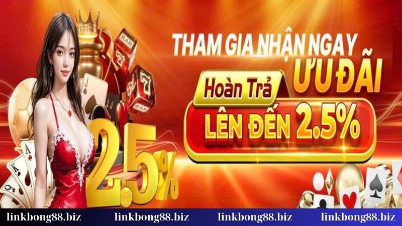 Ưu đãi hoàn trả Bong88 hàng ngày - Thắng thua đều có quà 2 Sức hấp dẫn của ưu đãi hoàn trả hàng ngày